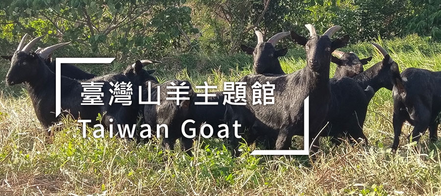 羊主題館-另開新視窗