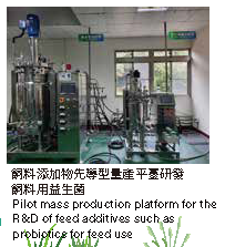 飼料添加物先導型量產平薹研發飼料用益生菌