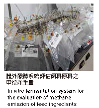 體外醱酵系統評估飼料原料之甲烷產生量