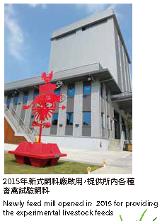 2015年新式飼料廠啟用,提供所內各種 畜禽試驗飼料
