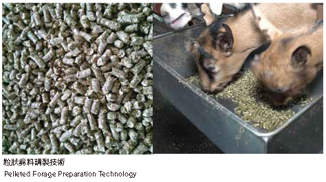 粒狀芻料調製技術粒狀芻料調製技術